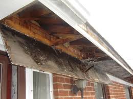 Poor gutter maintenance leads to water damage